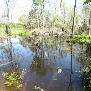 Photo of UNDER CONTRACT!  22 Acres of Residential and Recreational Land For Sale in Suffolk VA!