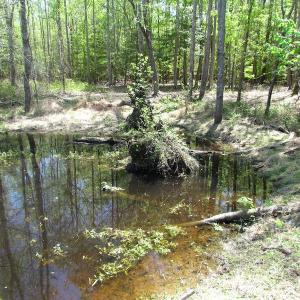 Photo of UNDER CONTRACT!  22 Acres of Residential and Recreational Land For Sale in Suffolk VA!