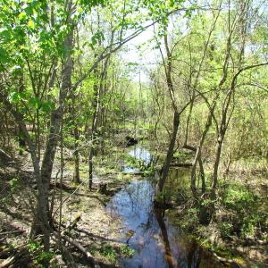 Photo of UNDER CONTRACT!  22 Acres of Residential and Recreational Land For Sale in Suffolk VA!