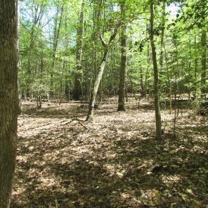 Photo of UNDER CONTRACT!  22 Acres of Residential and Recreational Land For Sale in Suffolk VA!