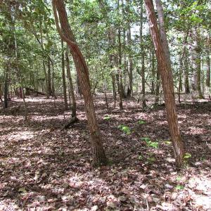 Photo of UNDER CONTRACT!  22 Acres of Residential and Recreational Land For Sale in Suffolk VA!