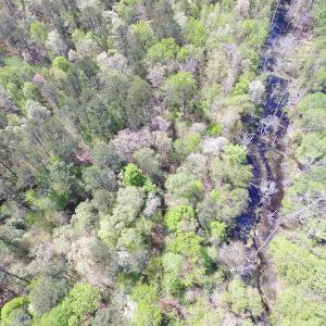 Photo of UNDER CONTRACT!  22 Acres of Residential and Recreational Land For Sale in Suffolk VA!