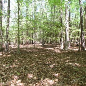 Photo of UNDER CONTRACT!  22 Acres of Residential and Recreational Land For Sale in Suffolk VA!