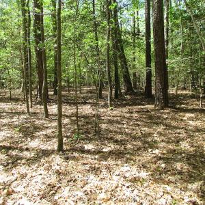 Photo of UNDER CONTRACT!  22 Acres of Residential and Recreational Land For Sale in Suffolk VA!