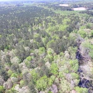 Photo of UNDER CONTRACT!  22 Acres of Residential and Recreational Land For Sale in Suffolk VA!