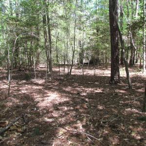 Photo of UNDER CONTRACT!  22 Acres of Residential and Recreational Land For Sale in Suffolk VA!