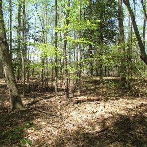 Photo of UNDER CONTRACT!  22 Acres of Residential and Recreational Land For Sale in Suffolk VA!
