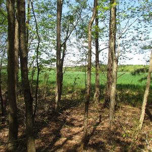 Photo of UNDER CONTRACT!  22 Acres of Residential and Recreational Land For Sale in Suffolk VA!