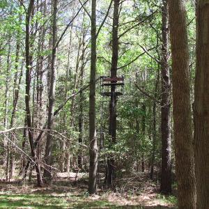 Photo of UNDER CONTRACT!  22 Acres of Residential and Recreational Land For Sale in Suffolk VA!