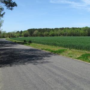 Photo of UNDER CONTRACT!  22 Acres of Residential and Recreational Land For Sale in Suffolk VA!
