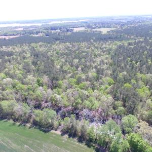 Photo of UNDER CONTRACT!  22 Acres of Residential and Recreational Land For Sale in Suffolk VA!