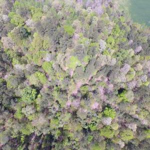 Photo of UNDER CONTRACT!  22 Acres of Residential and Recreational Land For Sale in Suffolk VA!