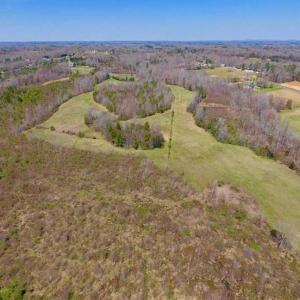 Photo of SOLD!!  42 Acres of Pasture and Timber Land For Sale in Caswell County NC!