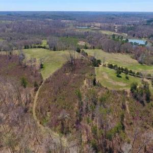 Photo of SOLD!!  42 Acres of Pasture and Timber Land For Sale in Caswell County NC!