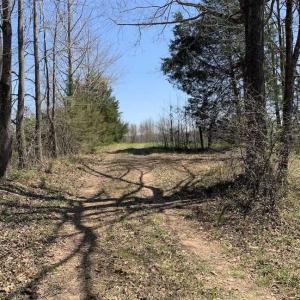 Photo of SOLD!!  42 Acres of Pasture and Timber Land For Sale in Caswell County NC!