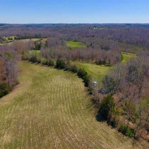 Photo of SOLD!!  42 Acres of Pasture and Timber Land For Sale in Caswell County NC!