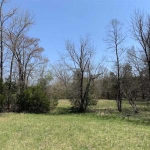 Photo of SOLD!!  42 Acres of Pasture and Timber Land For Sale in Caswell County NC!