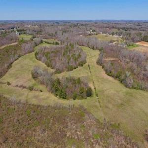 Photo of SOLD!!  42 Acres of Pasture and Timber Land For Sale in Caswell County NC!