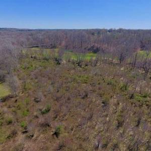 Photo of SOLD!!  42 Acres of Pasture and Timber Land For Sale in Caswell County NC!