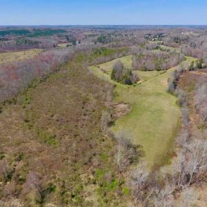 Photo of SOLD!!  42 Acres of Pasture and Timber Land For Sale in Caswell County NC!