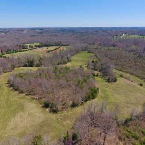 Photo of SOLD!!  42 Acres of Pasture and Timber Land For Sale in Caswell County NC!