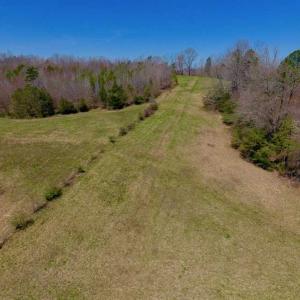 Photo of SOLD!!  42 Acres of Pasture and Timber Land For Sale in Caswell County NC!