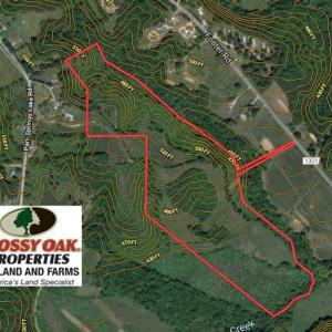 Photo of SOLD!!  42 Acres of Pasture and Timber Land For Sale in Caswell County NC!