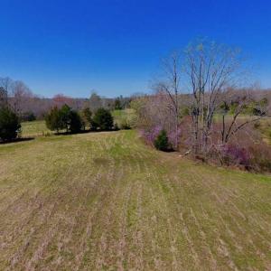 Photo of SOLD!!  42 Acres of Pasture and Timber Land For Sale in Caswell County NC!