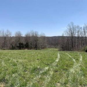 Photo of SOLD!!  42 Acres of Pasture and Timber Land For Sale in Caswell County NC!