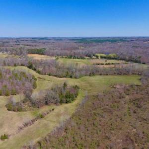 Photo of SOLD!!  42 Acres of Pasture and Timber Land For Sale in Caswell County NC!