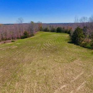 Photo of SOLD!!  42 Acres of Pasture and Timber Land For Sale in Caswell County NC!