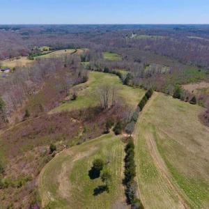 Photo of SOLD!!  42 Acres of Pasture and Timber Land For Sale in Caswell County NC!