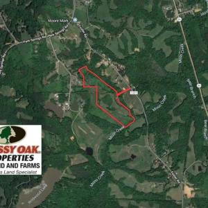 Photo of SOLD!!  42 Acres of Pasture and Timber Land For Sale in Caswell County NC!