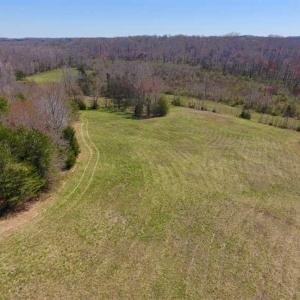 Photo of SOLD!!  42 Acres of Pasture and Timber Land For Sale in Caswell County NC!