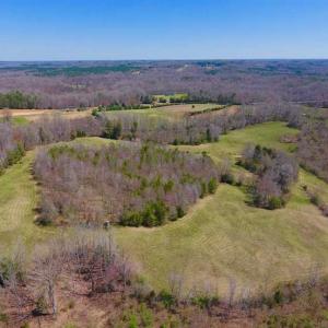 Photo of SOLD!!  42 Acres of Pasture and Timber Land For Sale in Caswell County NC!