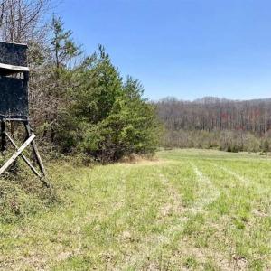 Photo of SOLD!!  42 Acres of Pasture and Timber Land For Sale in Caswell County NC!