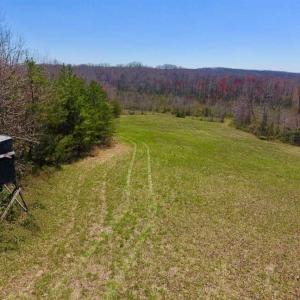 Photo of SOLD!!  42 Acres of Pasture and Timber Land For Sale in Caswell County NC!