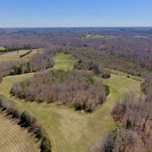 Photo of SOLD!!  42 Acres of Pasture and Timber Land For Sale in Caswell County NC!