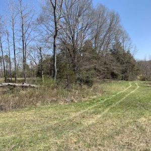 Photo of SOLD!!  42 Acres of Pasture and Timber Land For Sale in Caswell County NC!