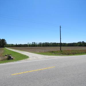 Photo of UNDER CONTRACT!  76 Acres of Farm and Timber Land For Sale in Robeson County NC!