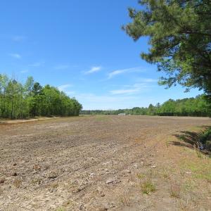 Photo of UNDER CONTRACT!  76 Acres of Farm and Timber Land For Sale in Robeson County NC!