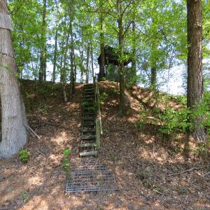 Photo of UNDER CONTRACT!  76 Acres of Farm and Timber Land For Sale in Robeson County NC!