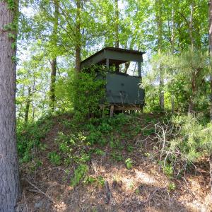 Photo of UNDER CONTRACT!  76 Acres of Farm and Timber Land For Sale in Robeson County NC!