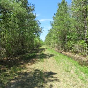 Photo of UNDER CONTRACT!  76 Acres of Farm and Timber Land For Sale in Robeson County NC!