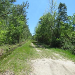 Photo of UNDER CONTRACT!  76 Acres of Farm and Timber Land For Sale in Robeson County NC!