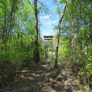 Photo of UNDER CONTRACT!  76 Acres of Farm and Timber Land For Sale in Robeson County NC!