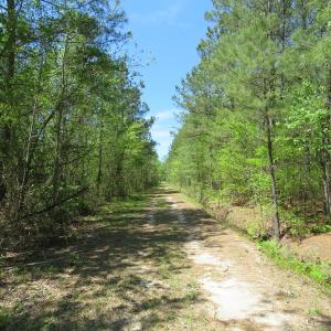Photo of UNDER CONTRACT!  76 Acres of Farm and Timber Land For Sale in Robeson County NC!