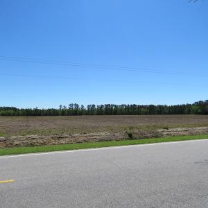 Photo of UNDER CONTRACT!  76 Acres of Farm and Timber Land For Sale in Robeson County NC!
