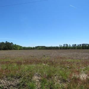 Photo of UNDER CONTRACT!  76 Acres of Farm and Timber Land For Sale in Robeson County NC!