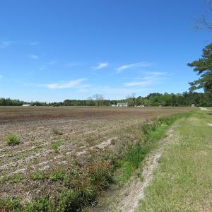 Photo of UNDER CONTRACT!  76 Acres of Farm and Timber Land For Sale in Robeson County NC!